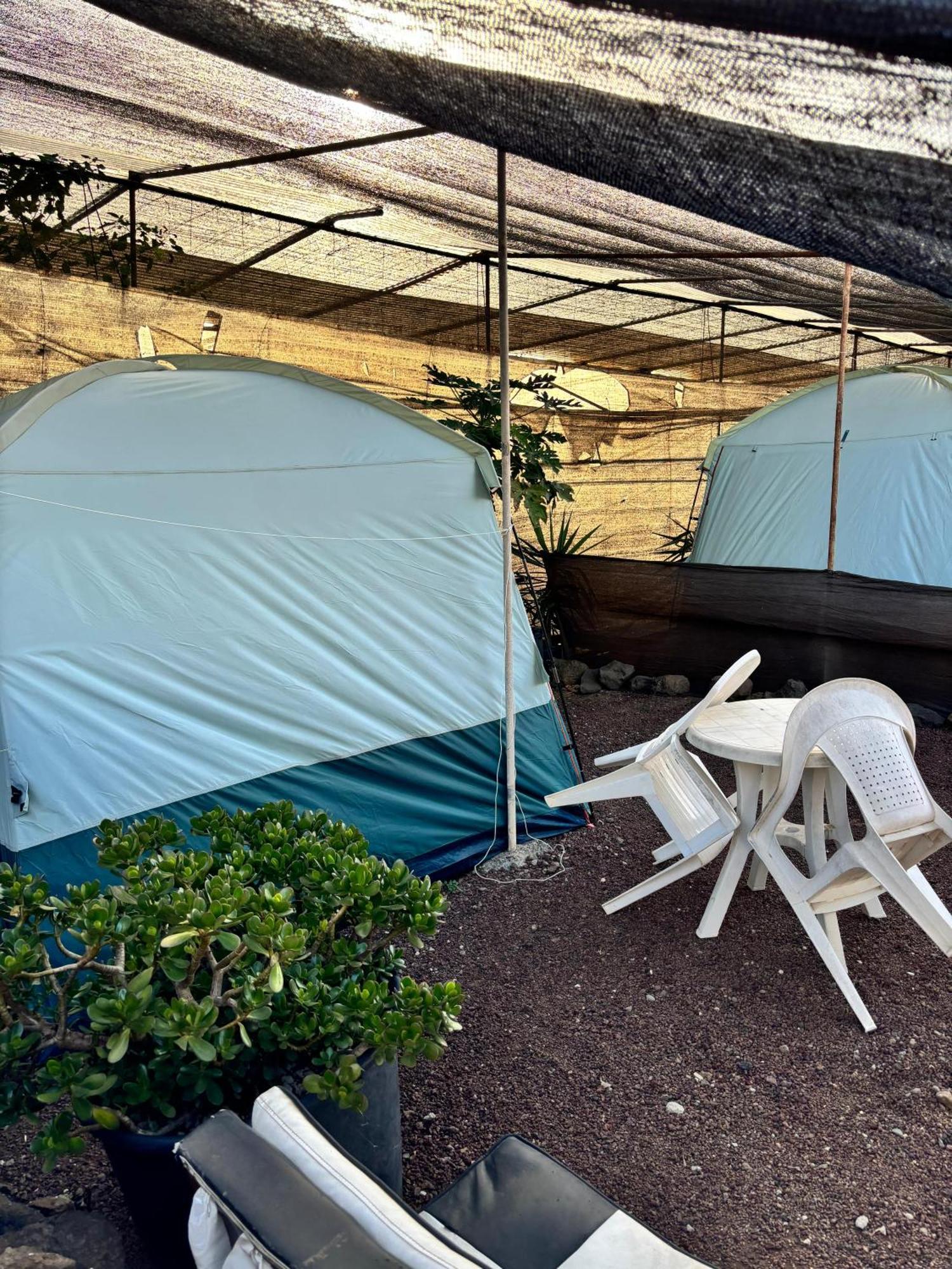 Camping Invernaderito Tejina Exterior foto