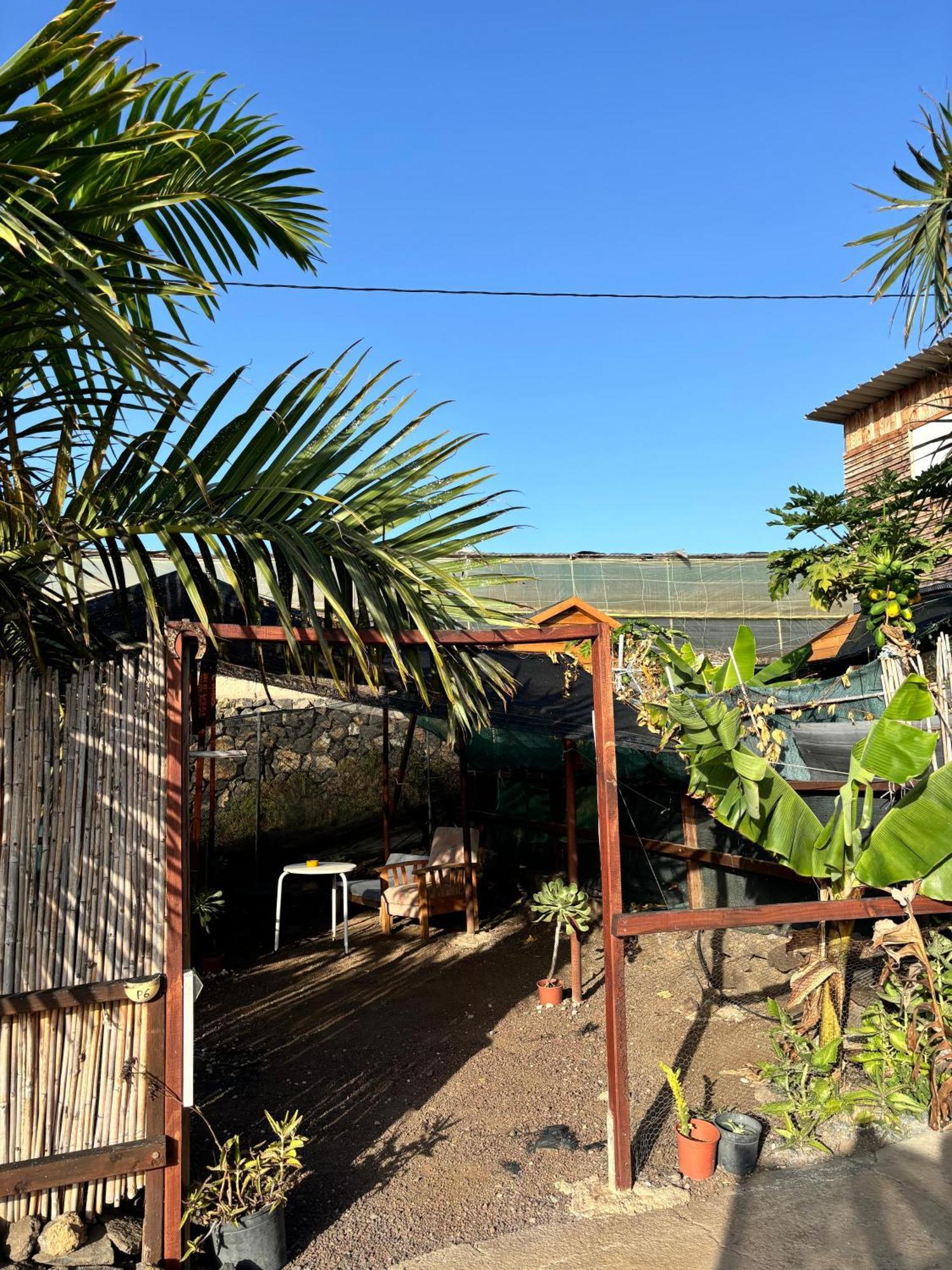 Camping Invernaderito Tejina Exterior foto